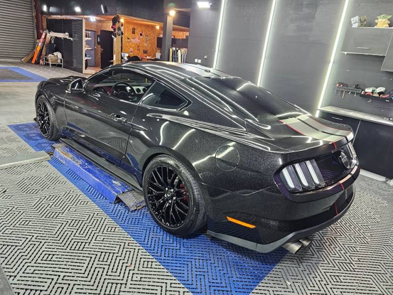 covering et bande mustang