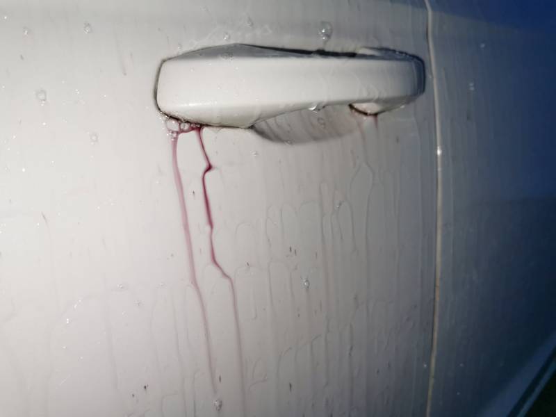 Covering seat cupra