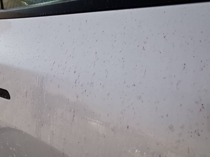 Covering tesla model 3